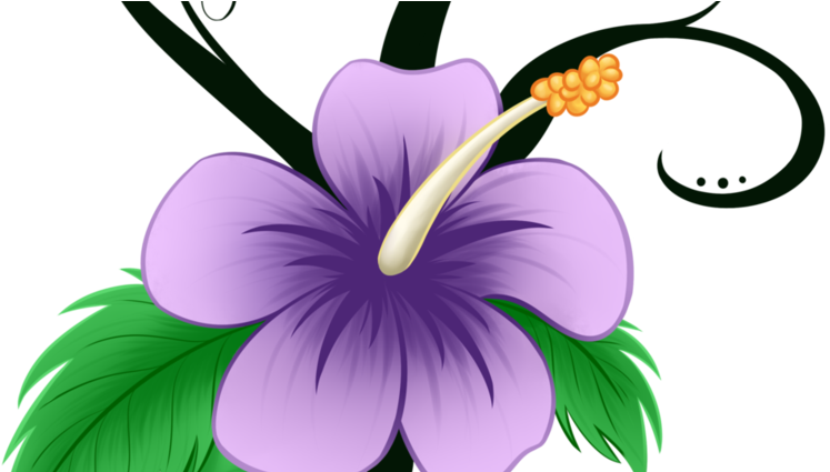 Cartoon Hibiscus Clipart (808x424), Png Download