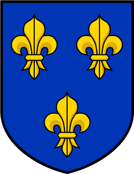 Ile France Coat Of Arms Shirt Fleur Lys Royal - Modern Black And White Clipart (600x600), Png Download