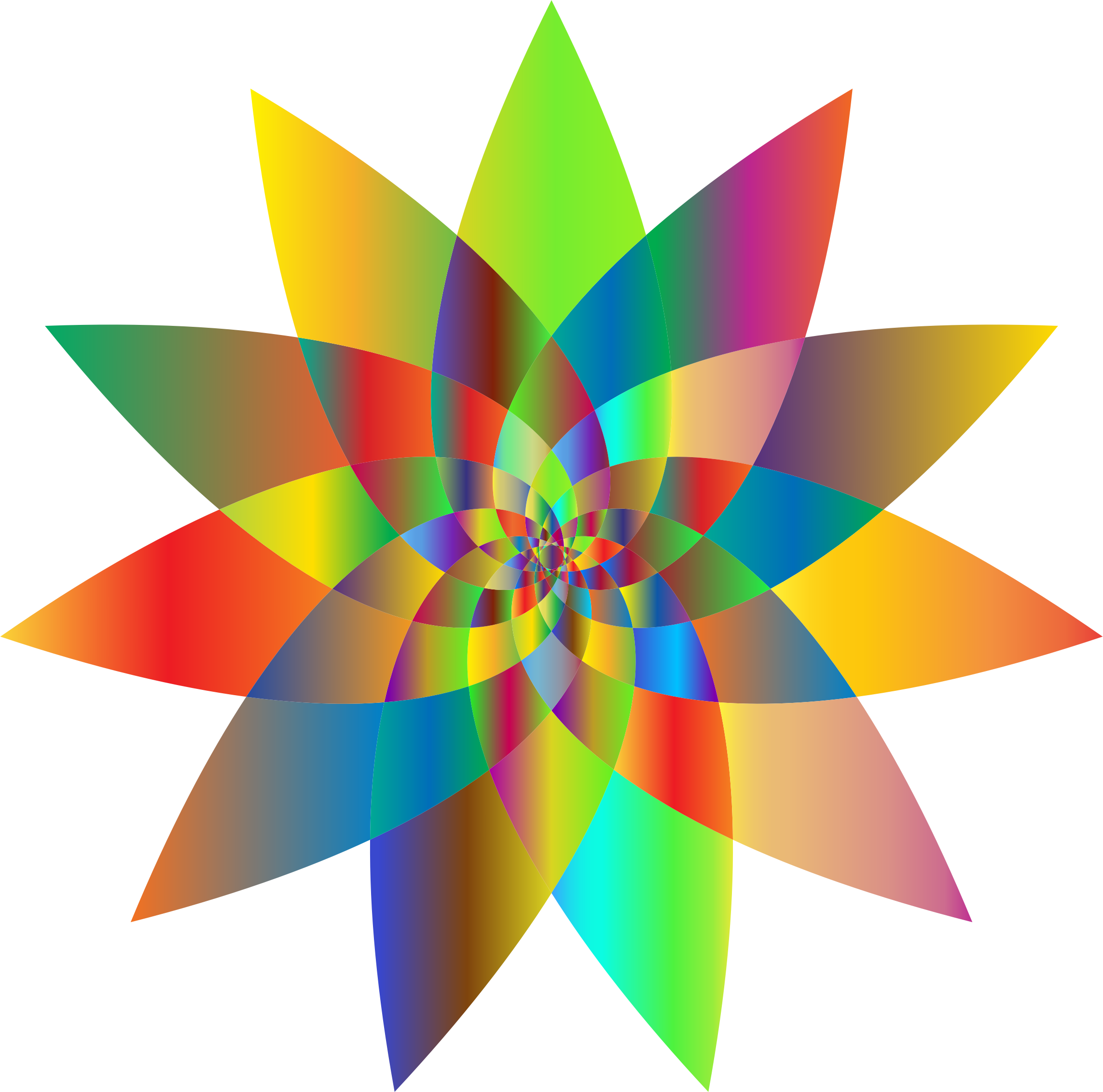 Line Art Abstract Art Drawing Floral Design - Art Clipart (758x750), Png Download