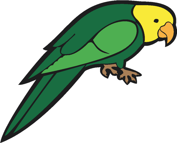 Parrot Clipart Easy - Vector Images Of Parrot - Png Download (800x800), Png Download