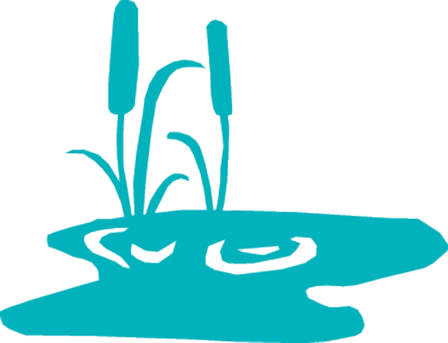 Zinneke - Water Clipart (922x706), Png Download