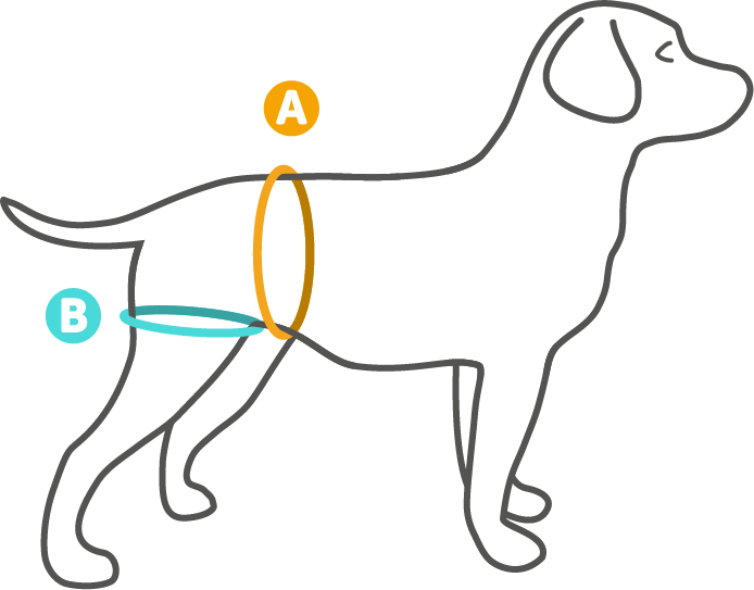 A - Dog Catches Something Clipart (694x543), Png Download