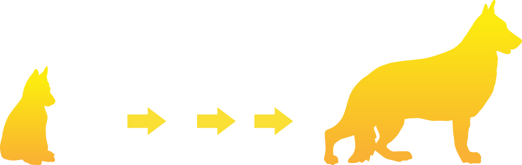 We Can Do This On A Daily Basis Or Board Your Dog When Clipart (1065x337), Png Download