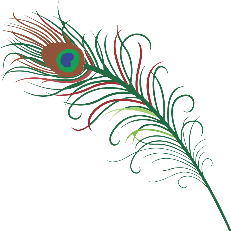 Peacock Feather Clipart At Getdrawings - Peacock Feather Hd Images Download - Png Download (800x800), Png Download