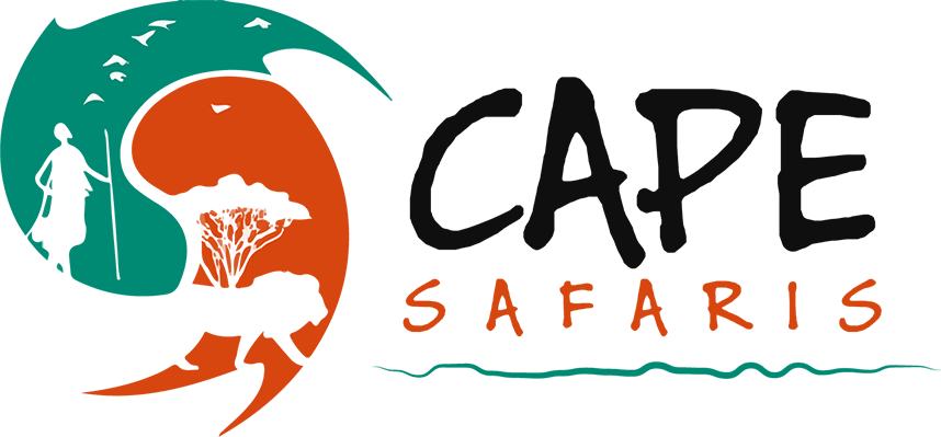 00 27 41 581 Clipart (858x399), Png Download