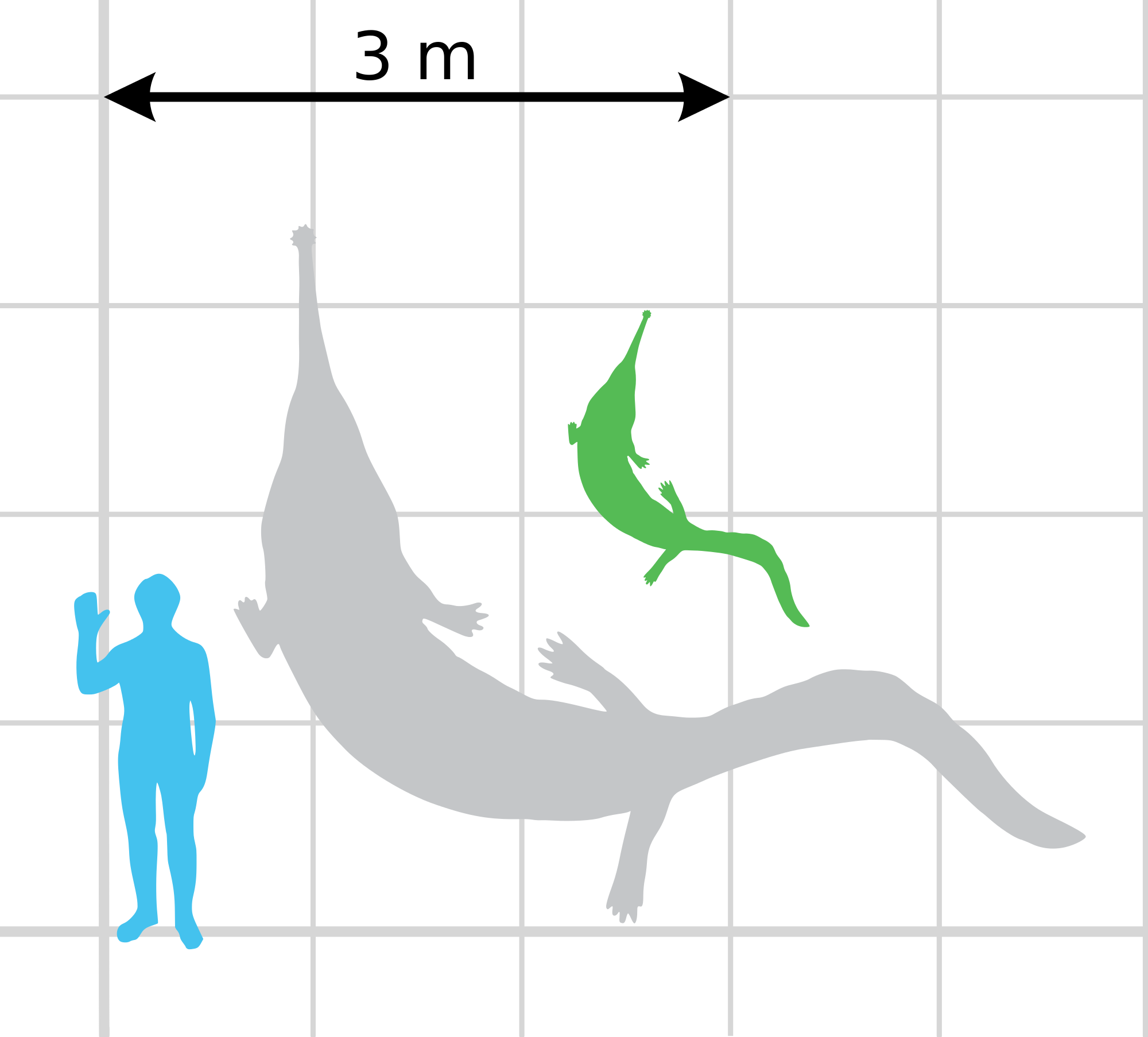 File Prionosuchus Scale Wikimedia Commons Open - Size Clipart (2000x1807), Png Download
