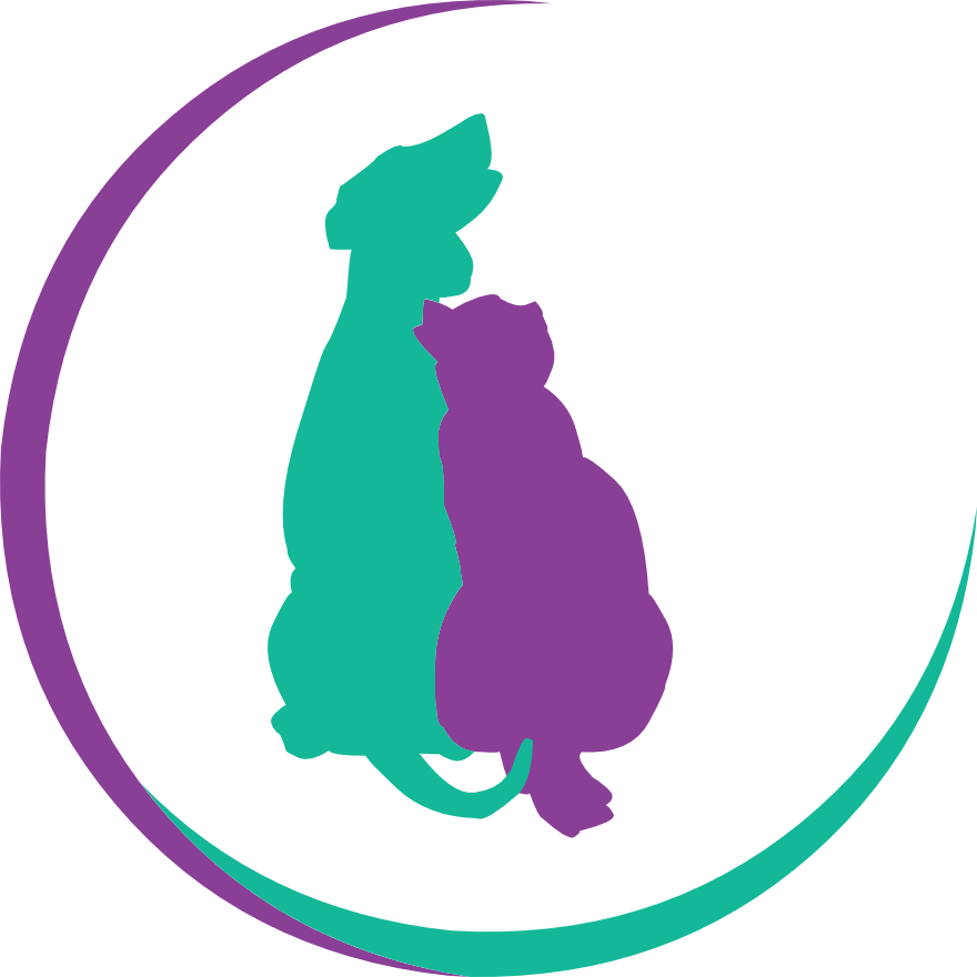 Shouldn't Your Pet Receive First Class Veterinary Treatment Clipart (880x880), Png Download