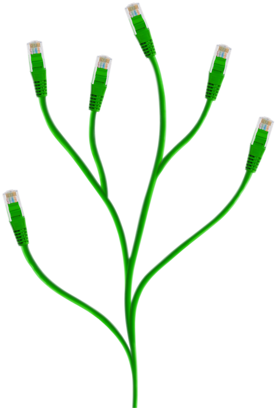 Grow Your Business - Cabo De Planta Clipart (541x878), Png Download