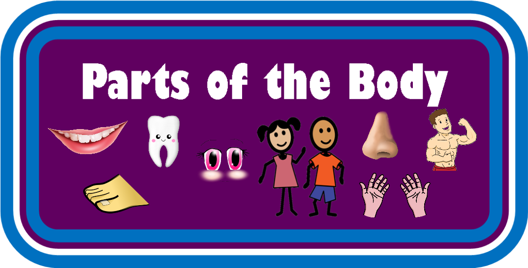 Parts Of The Body - Pumpkin Clipart (1102x640), Png Download