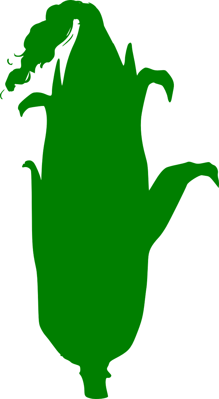 Harvest Border Clipart - Png Download (500x909), Png Download