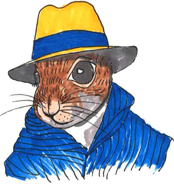 Clockwise From Top-left - Cartoon Clipart (601x634), Png Download