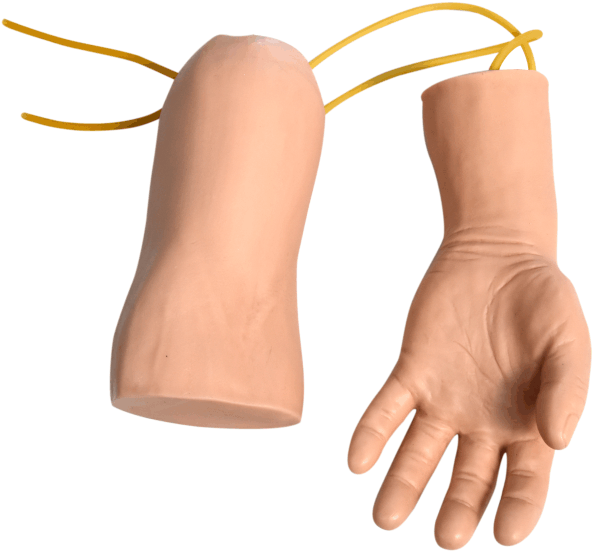 Hand And Elbow Combined Intravenous Transfusion Training - Wood Clipart (603x586), Png Download