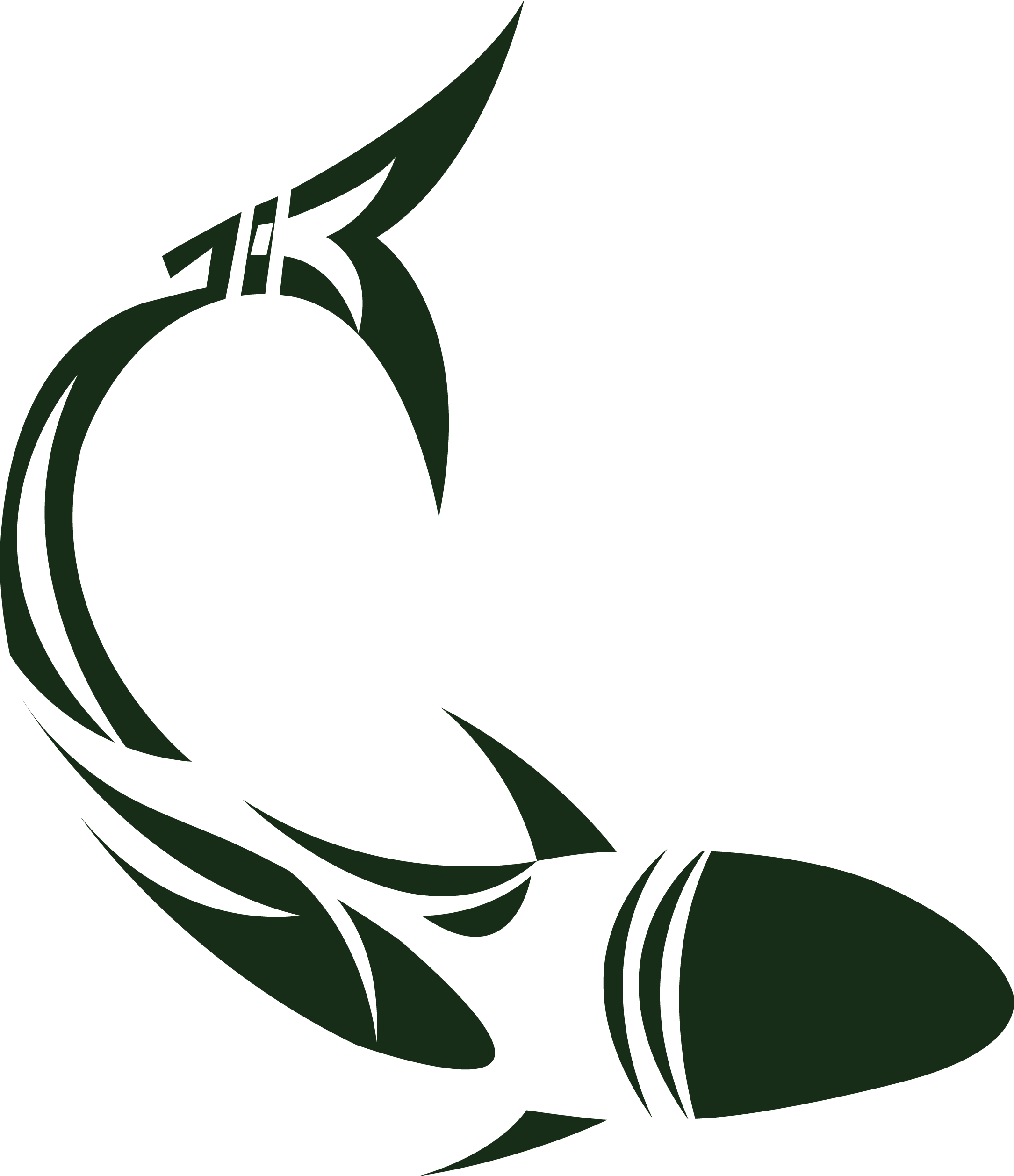 Logo Desigen Illustration And - Drawing Clipart (2169x2515), Png Download