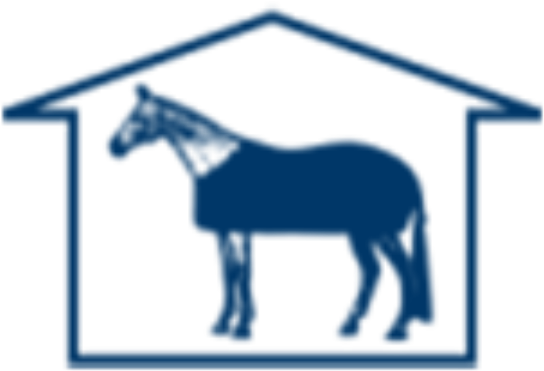 Four Seasons Horse Show - Horse Clipart (640x640), Png Download