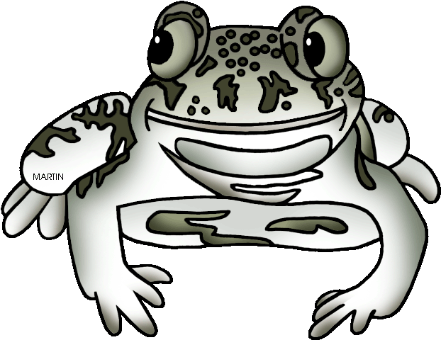 New Mexico State Amphibian Spadefoot Toad - American Spadefoot Toads Clipart (648x504), Png Download