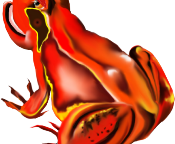 Frog Clipart Orange - Rote Blumen-karte Des Frosch-n Karte - Png Download (640x480), Png Download