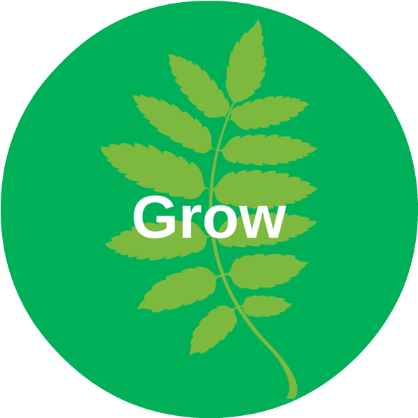 Business Growth - Emblem Clipart (600x600), Png Download