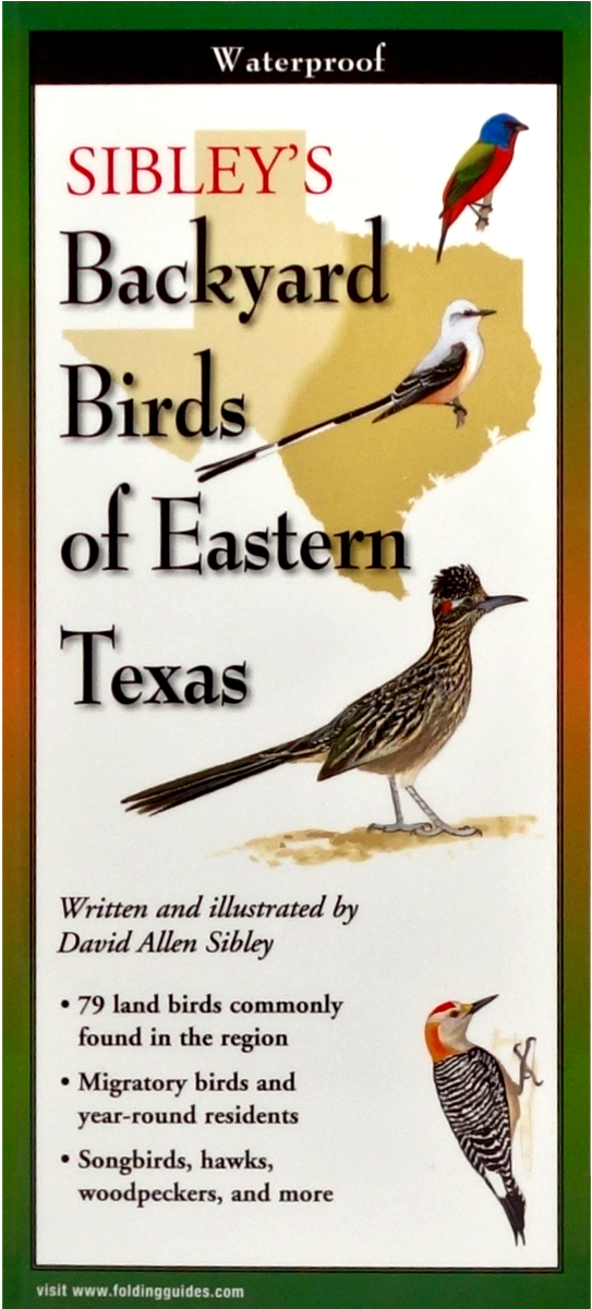 Shopping Cart -  -  Clipart (1200x1200), Png Download