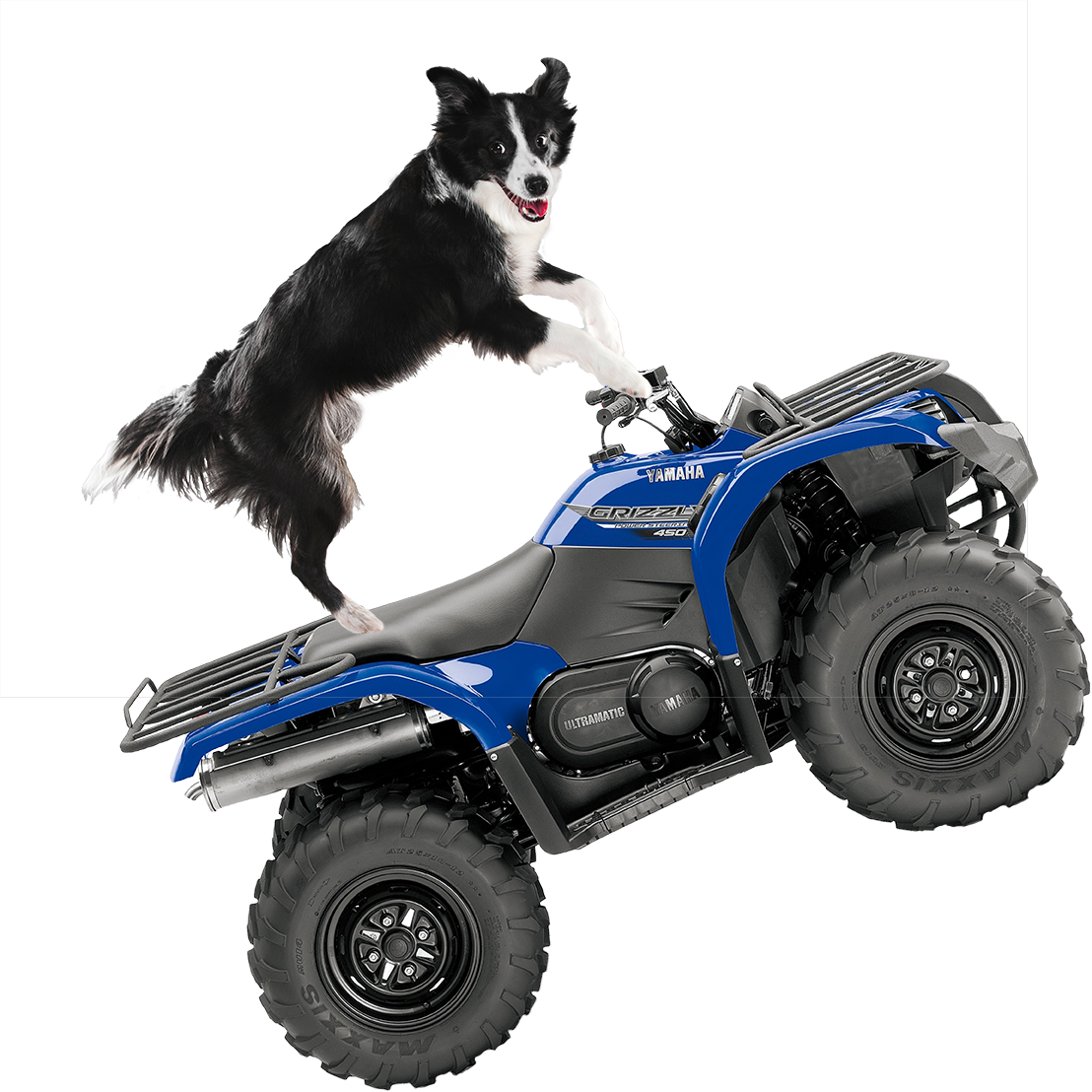 Fun For All The Family - Dog On A Quad Clipart (1108x1108), Png Download