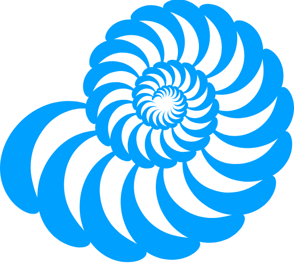 One Of The Most Fascinating Things With Our Breathing, - Spiral Clipart (600x537), Png Download
