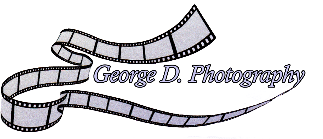 Georgedphotography - George D. Photography Clipart (1102x453), Png Download