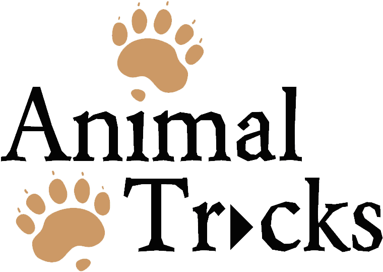 Take A Stroll With Wildlife Experts Join Pioneers As Clipart (834x556), Png Download