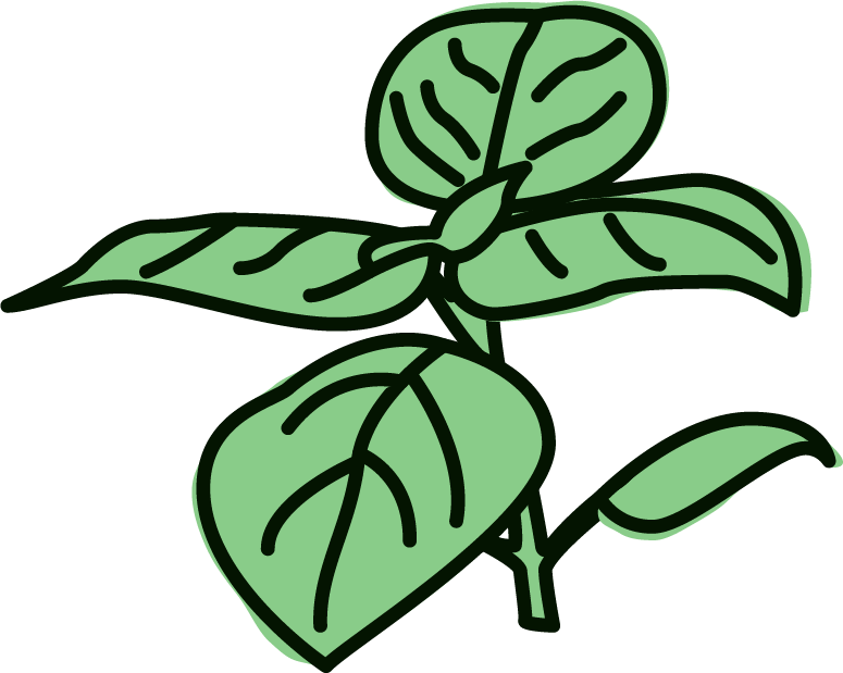 Lemon Basil Sorbet Clipart (775x619), Png Download