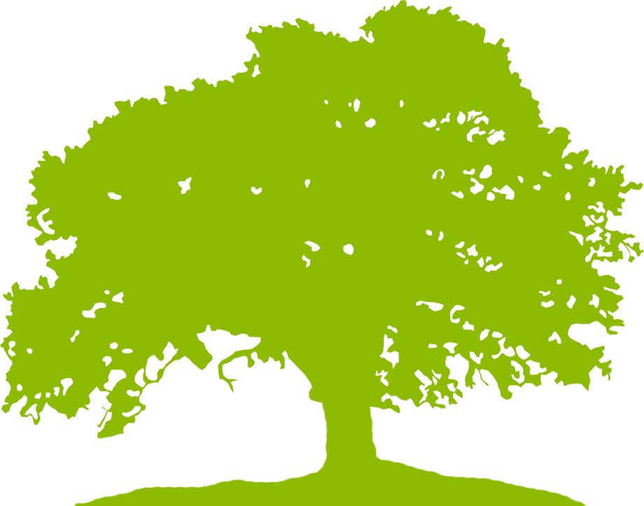 Education In Wayne County 6th Grade - Green Tree Vector Png Clipart (920x723), Png Download