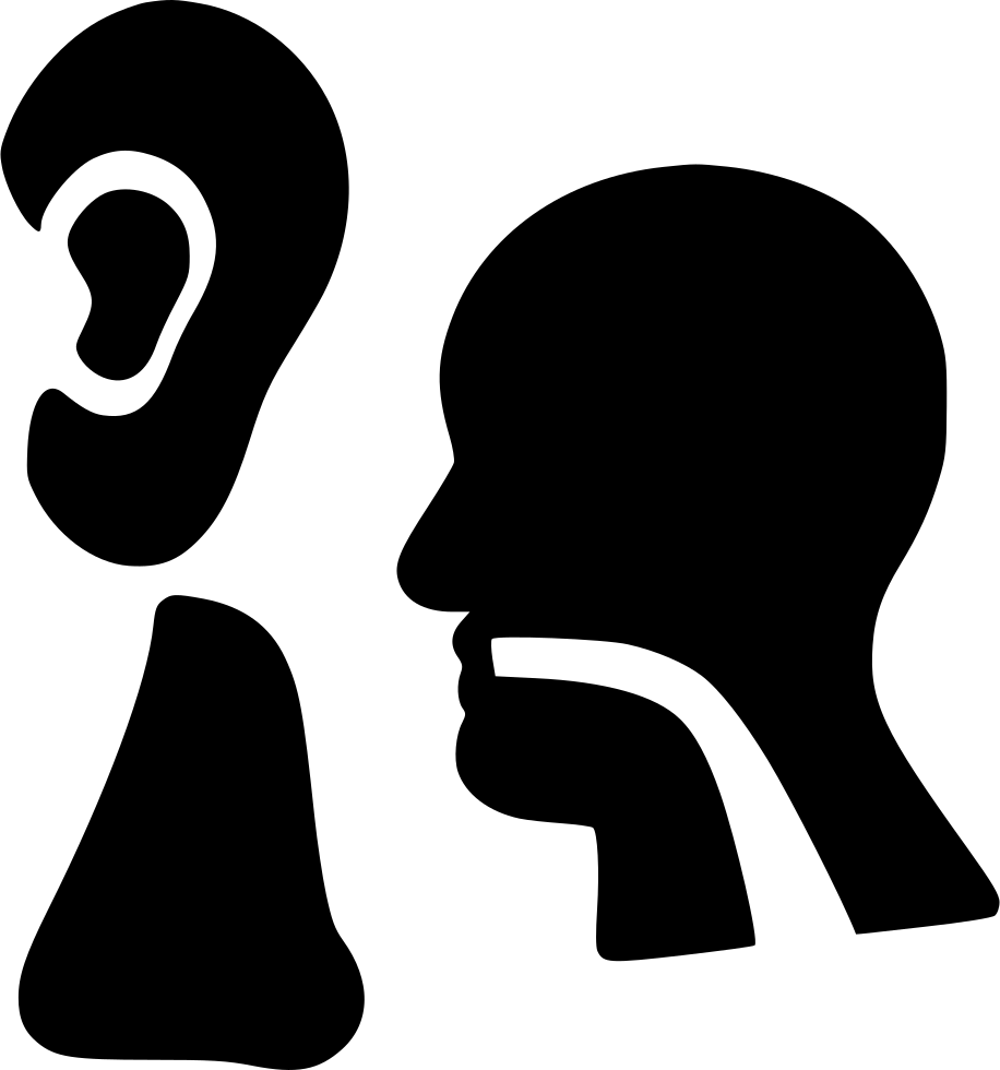 Anatomy, Otolaryngologist, Ent, Ear, Medical, Hear - Ent Vector Clipart (916x980), Png Download