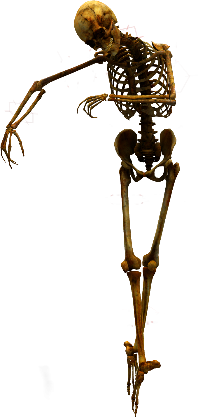 Yükle Яп Файлы - Skeleton Clipart (1500x2100), Png Download