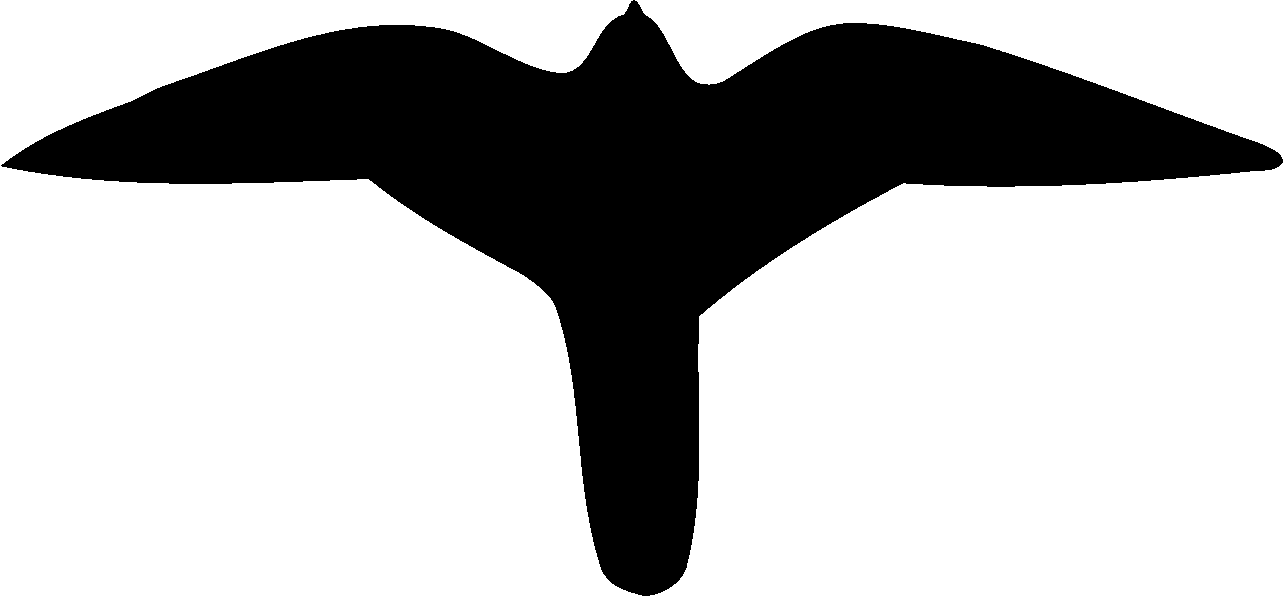 Peregrine Falcon American Kestrel And Merlin Acadia - Peregrine Falcon Templates Clipart (1283x596), Png Download