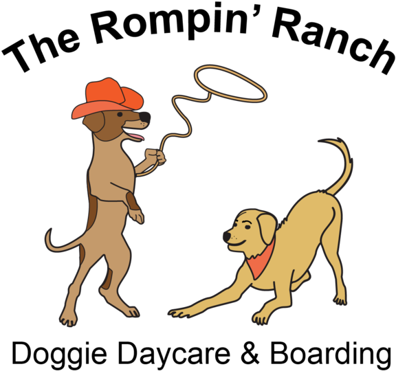 Dog Catches Something Clipart (600x551), Png Download