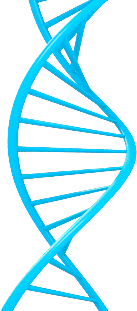 The Idea - Photograph Clipart (1920x1080), Png Download