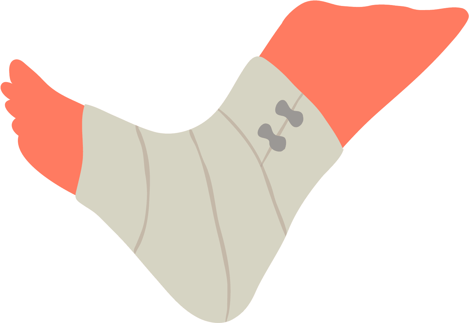 Picture Freeuse Stock Basics Anatomy And Physiology Clipart (750x422), Png Download