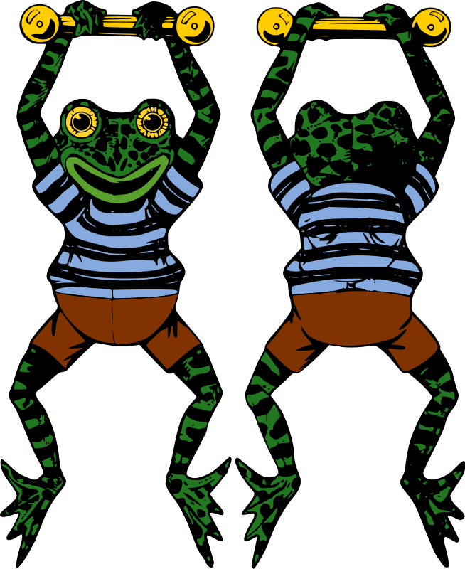 Frog Clipart - Acrobat Frogs Keychain, Adult Unisex, Size: 2.25", - Png Download (654x800), Png Download