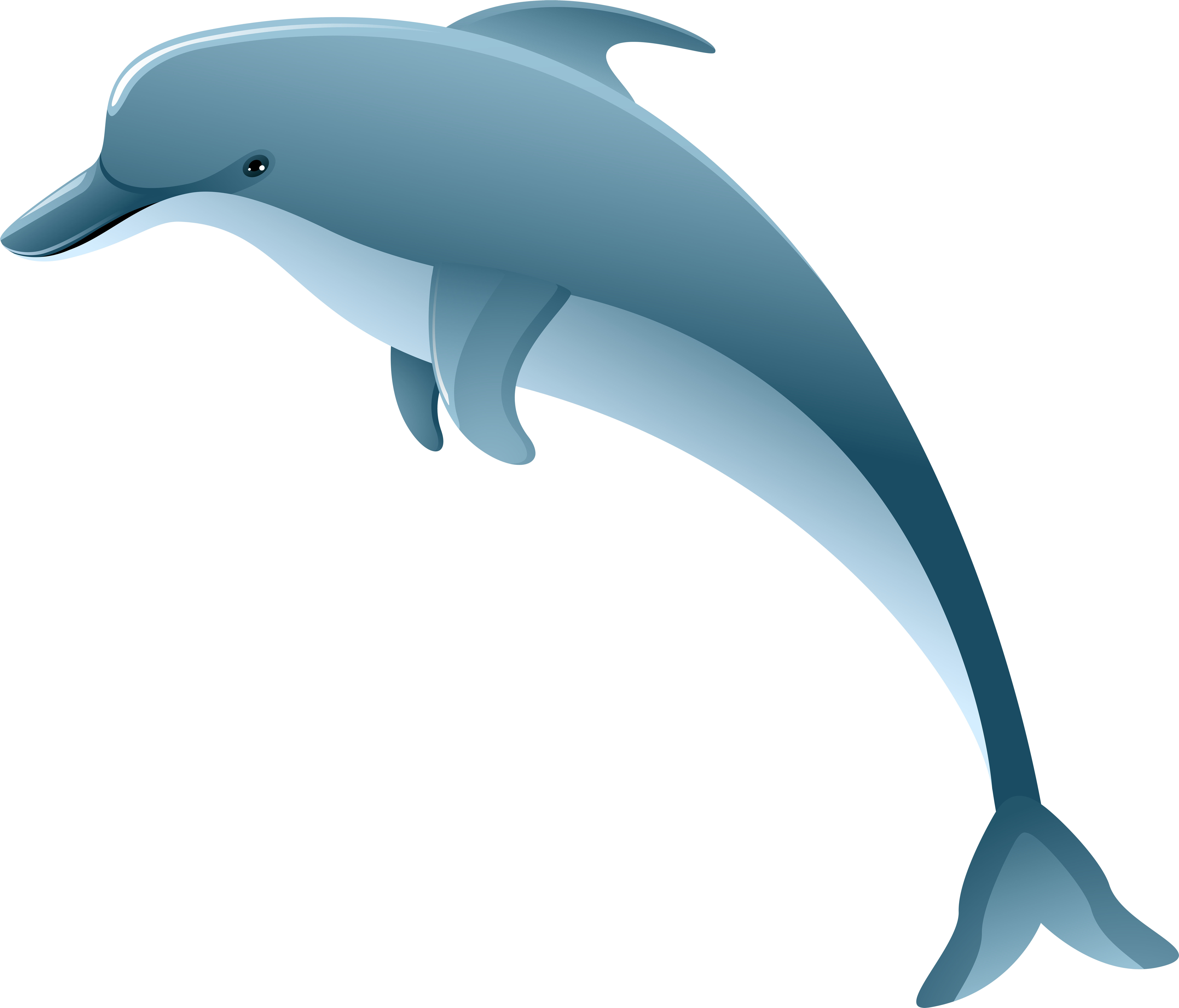 Collection Of Dolphin Transparent Background High Clipart (8000x6984), Png Download