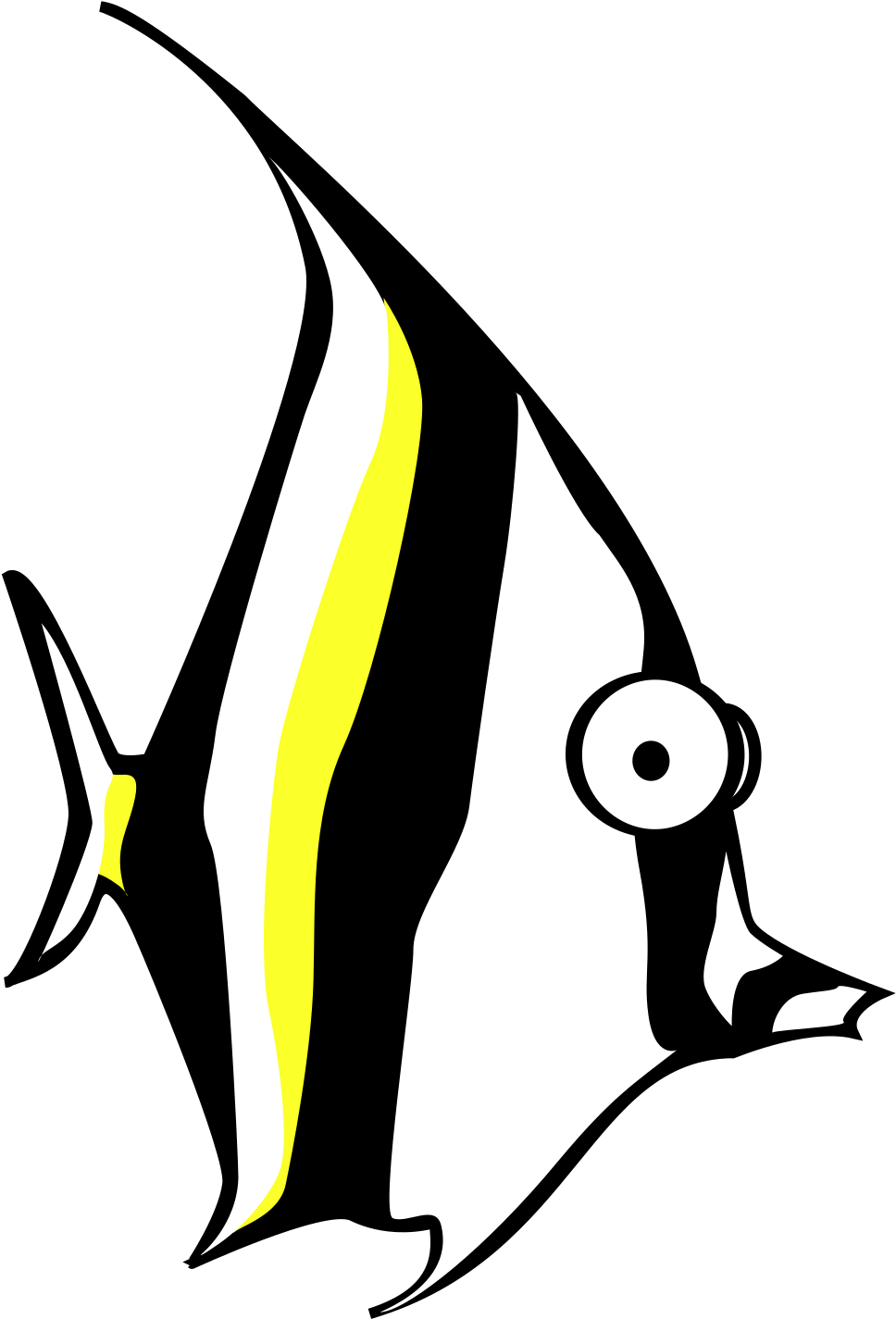 Zebra Clip Art Download - Draw A Zebra Fish - Png Download (800x800), Png Download
