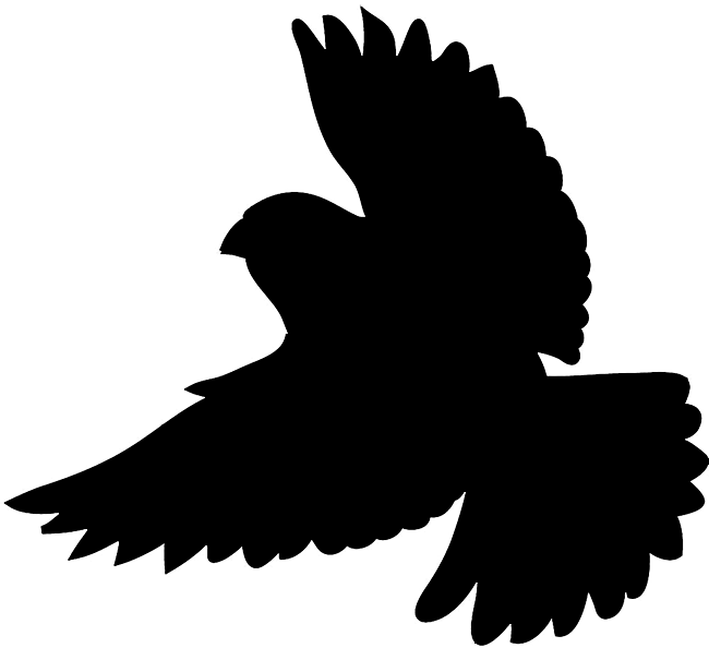 Bird Silhouettes - Flying Bird Silhouette Clip Art - Png Download (650x594), Png Download