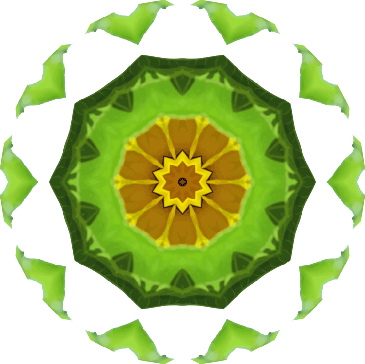 Common Sunflower Plants Leaf Sunflower M Oil - Clip Art - Png Download (753x750), Png Download