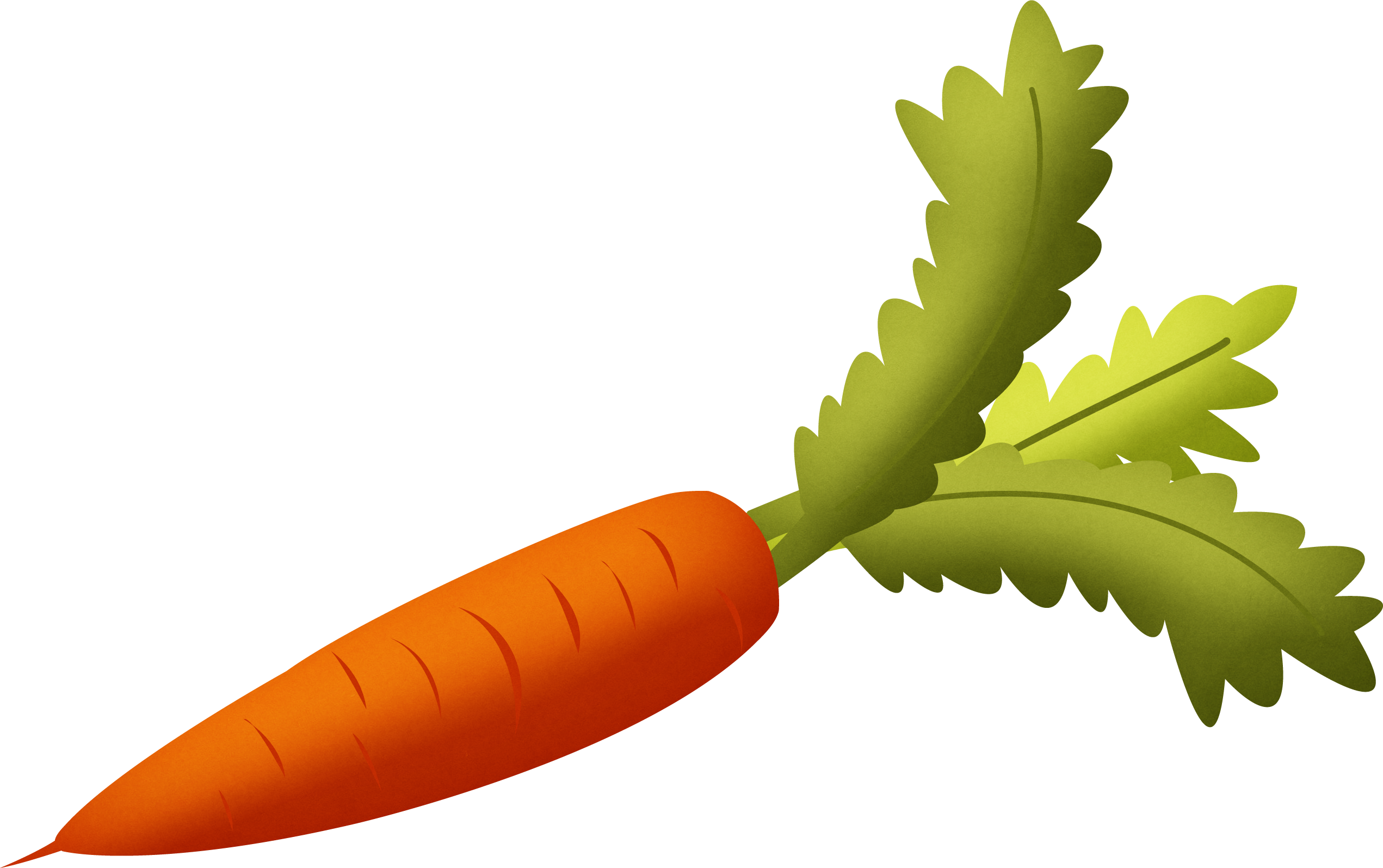 Carrot Clipart No Background - Carrot Clipart Transparent Background - Png Download (2542x1595), Png Download
