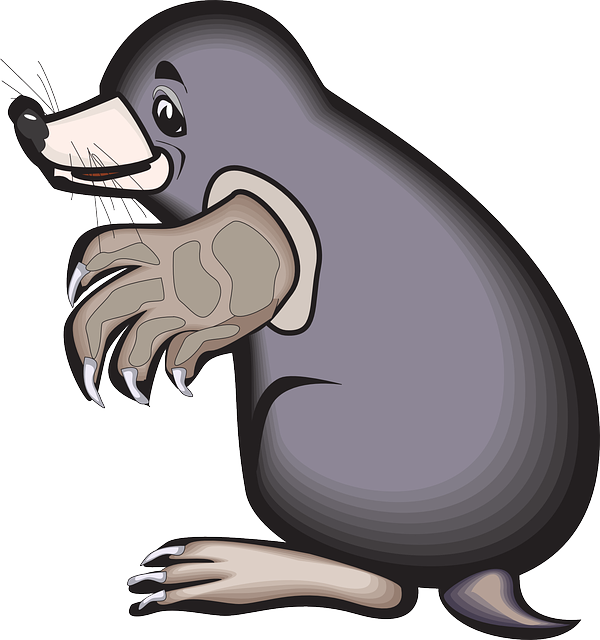 Mole - Cartoon Mole Clipart - Png Download (558x595), Png Download