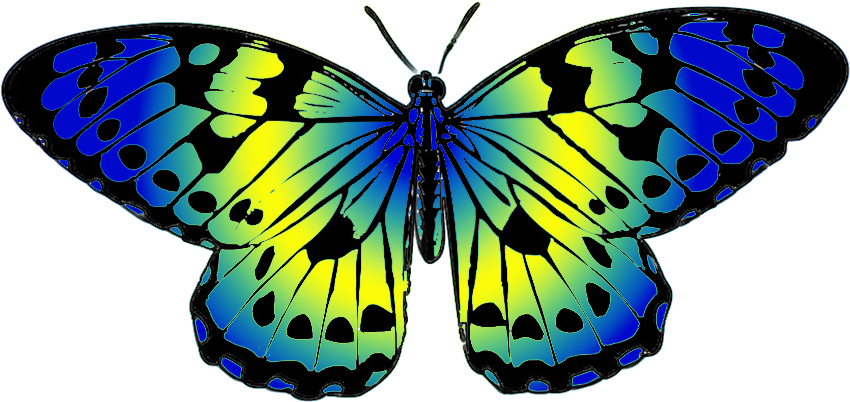 Top 87 Butterfly Clip Art - Butterfly Blue And Yellow - Png Download (893x591), Png Download