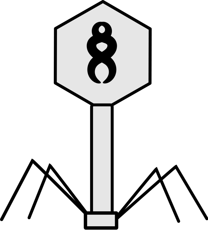 Mole Clip Art Download - Bacteriophage Clipart - Png Download (723x800), Png Download