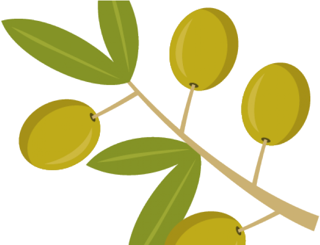 Olive Clipart (640x480), Png Download