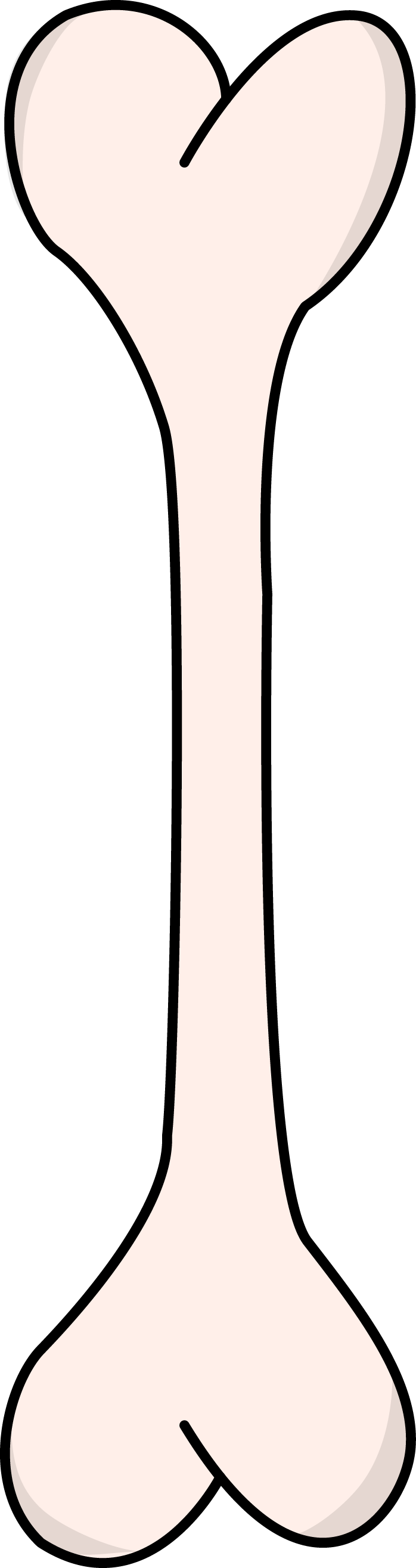 Image For Free Bone Health High Resolution Clip Art - Silhouette - Png Download (698x2630), Png Download