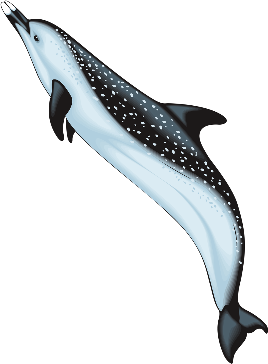 Яндекс - Фотки - Crazy Ocean Animals Clipart - Png Download (960x1280), Png Download