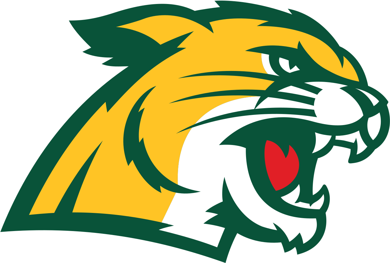 Nmu Wildcats Clipart (1200x816), Png Download