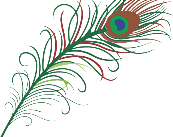 Simple Clipart Peacock - Peacock Feather Clipart Png Transparent Png (640x480), Png Download