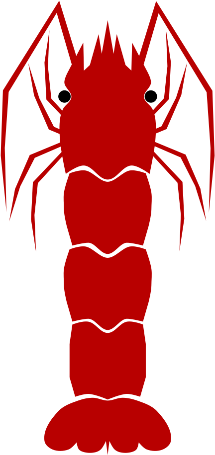 Shrimp - Personalisierte Garnele Keramik Ornament Clipart (566x800), Png Download
