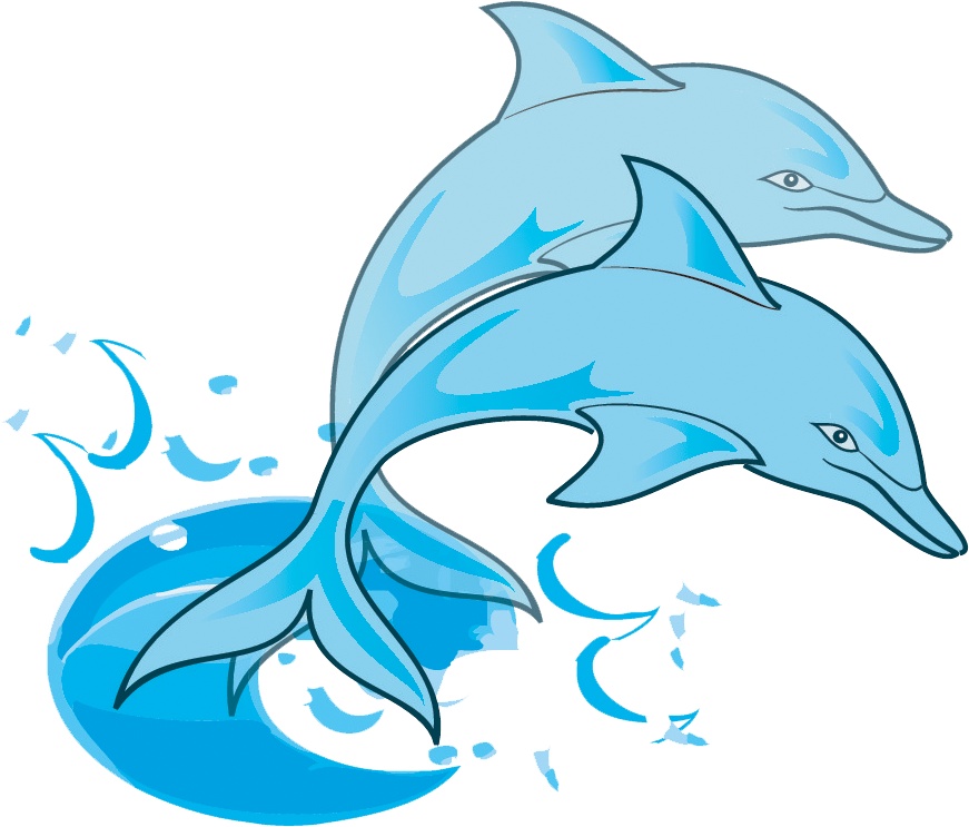 Dolphin Kids Coloring Book +fun Facts About Dolphins Clipart (1200x1002), Png Download